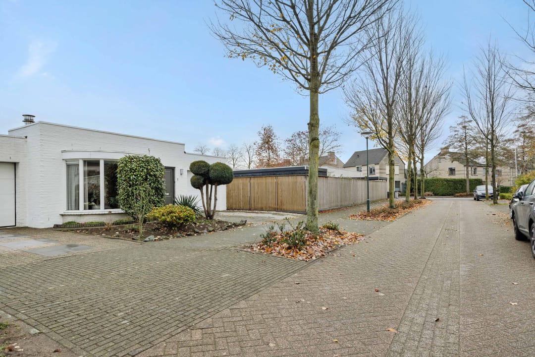 Foto 32 van Saffraanveld 1