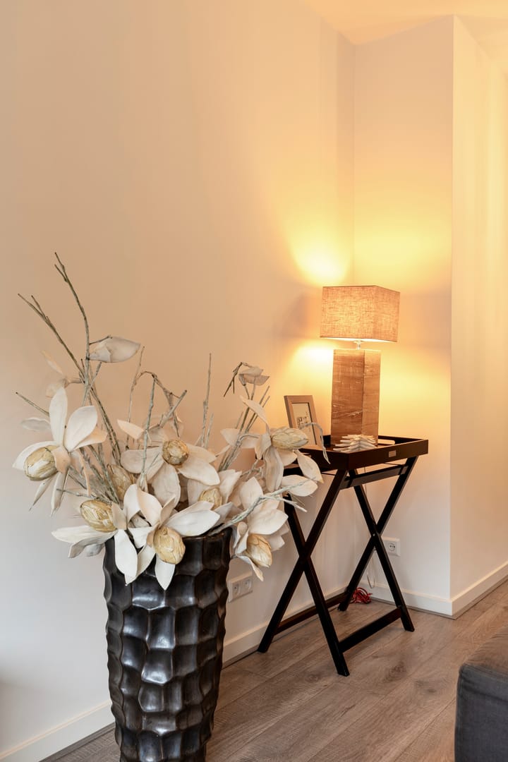 Foto 33 van De Savornin Lohmanlaan 77