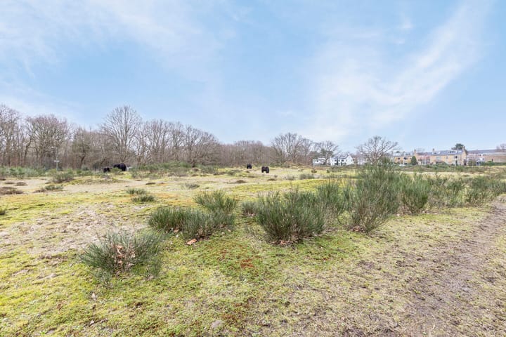 Foto 57 van De Savornin Lohmanlaan 77