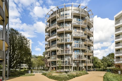 undefined main image