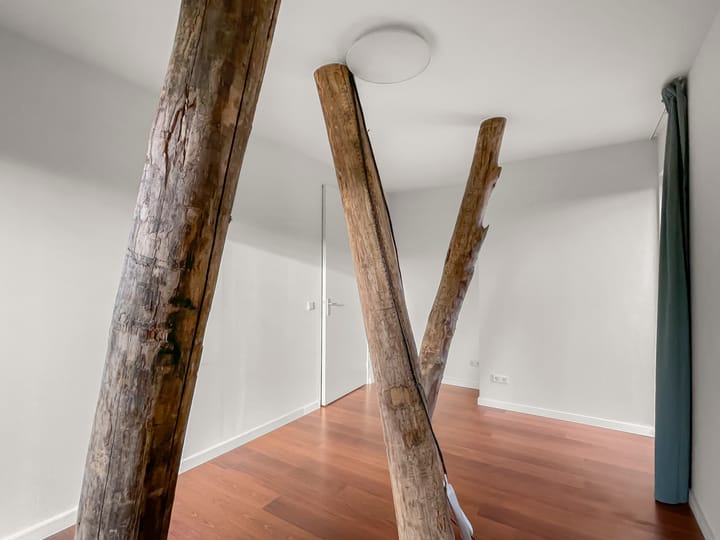 Photo 24 of Charles Darwinstraat 9