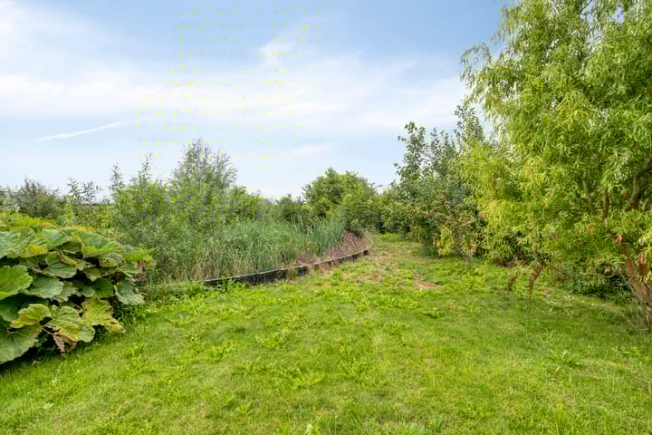 Photo 43 of Charles Darwinstraat 9