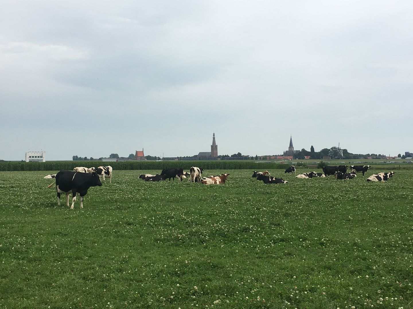 Photo 70 of IJsselmeerstraat 191