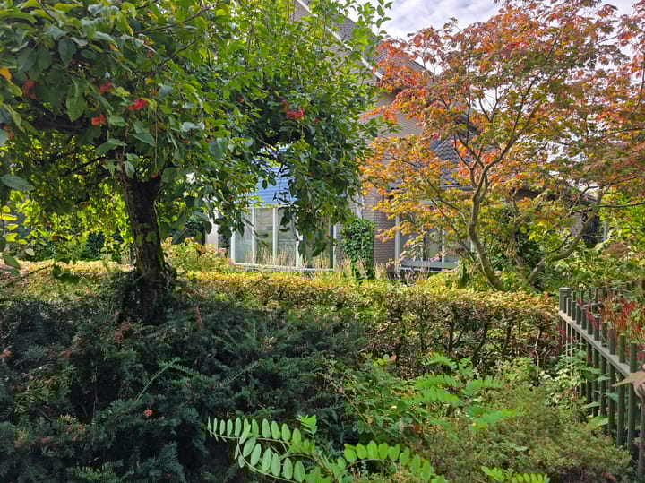 Photo 6 of Klippenweg 13