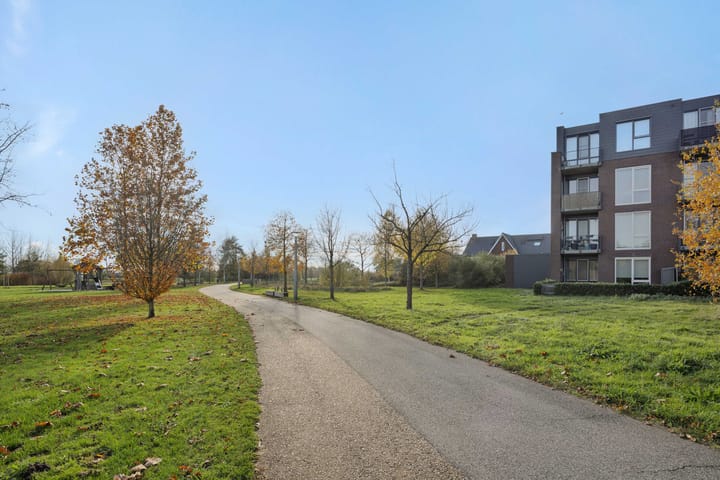 Photo 22 of Muntmeester 205