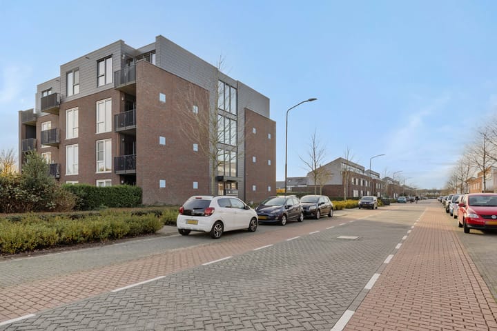 Photo 26 of Muntmeester 205