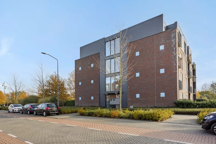 Photo 28 of Muntmeester 205