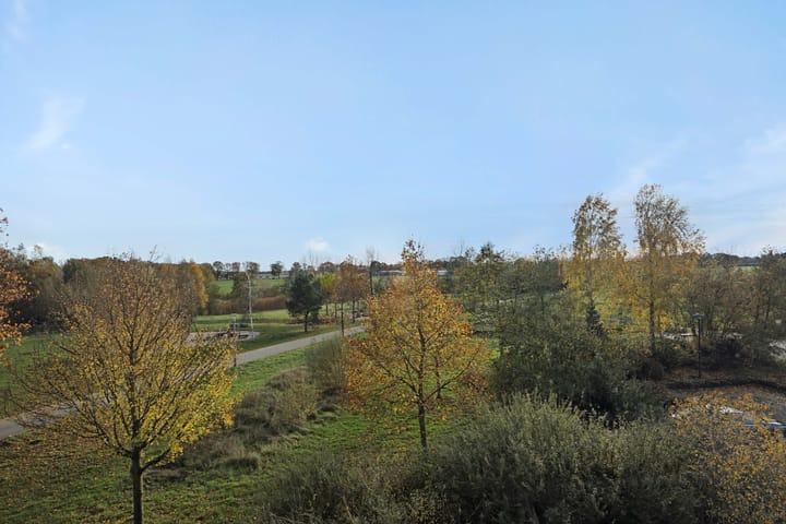 Photo 18 of Muntmeester 205