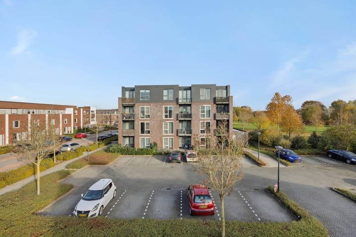 Photo 23 of Muntmeester 205