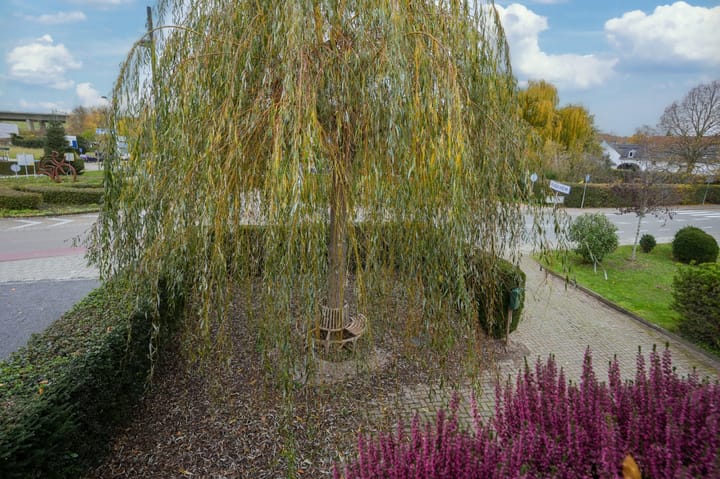 Photo 47 of Strabeek 1