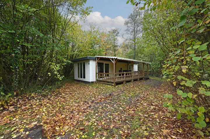 Photo 2 of Buinerweg 8-091