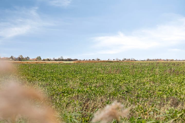 Photo 58 of Dijk van Bommenede 22