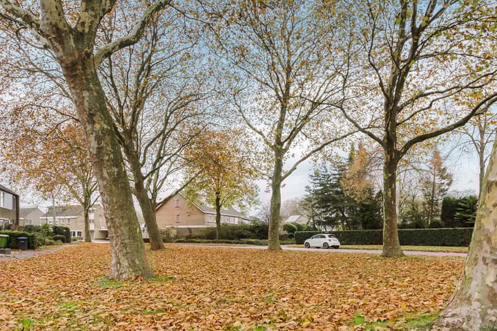 Photo 58 of Anthon van der Horstlaan 164