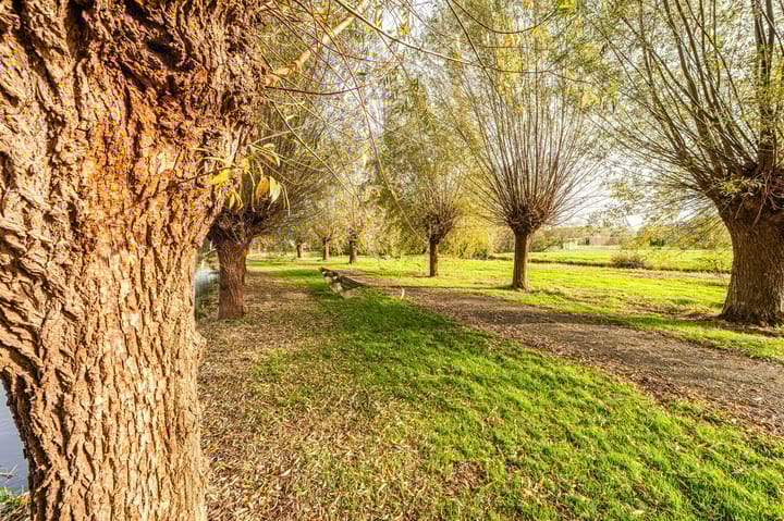 Photo 43 of Nieuwstraat 23