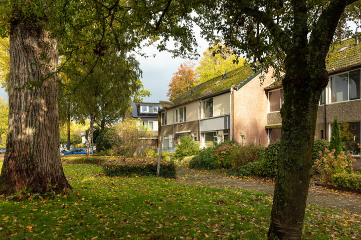 Photo 2 of Dotterbloemlaan 35