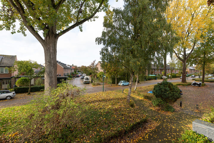 Foto 14 van Dotterbloemlaan 35