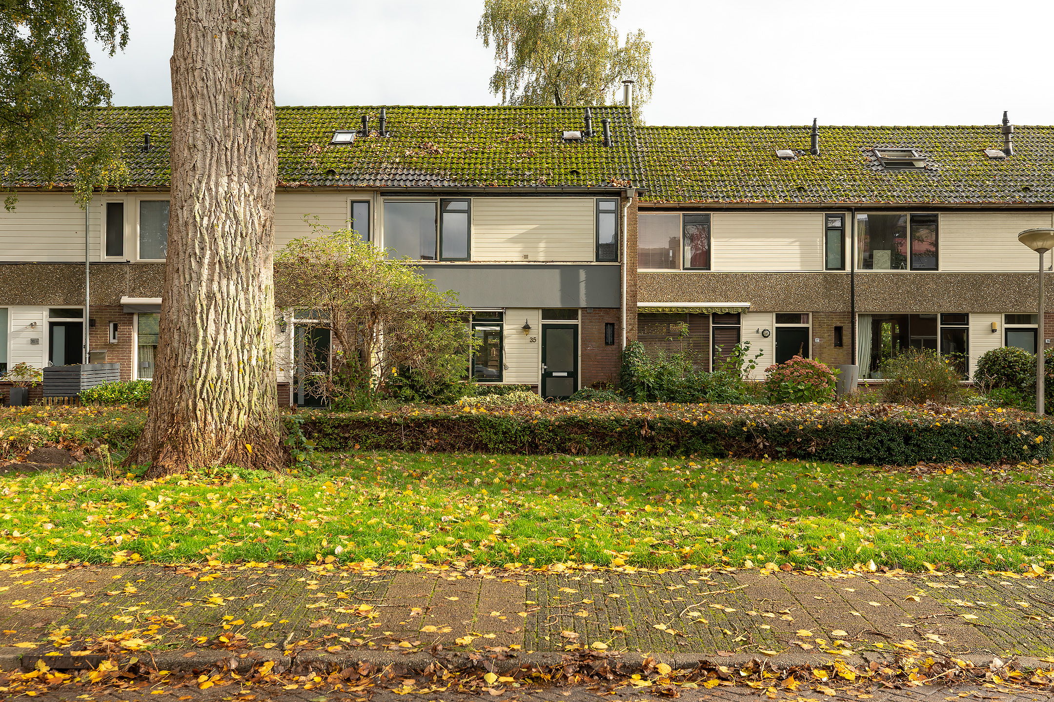 Dotterbloemlaan 35 