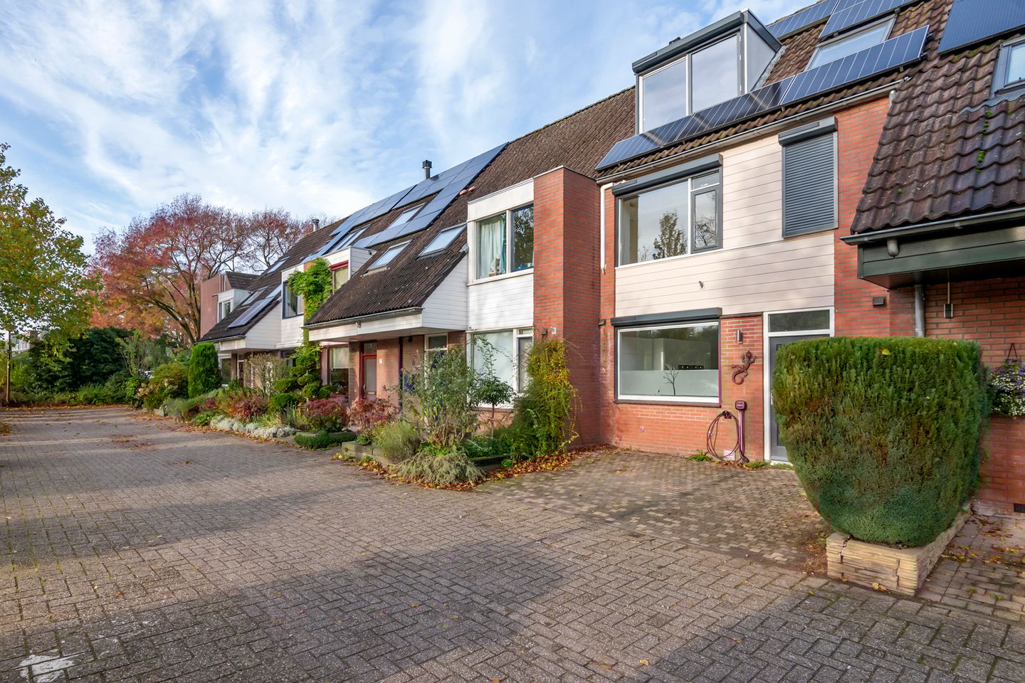 Foto 50 van Oeverloper 5