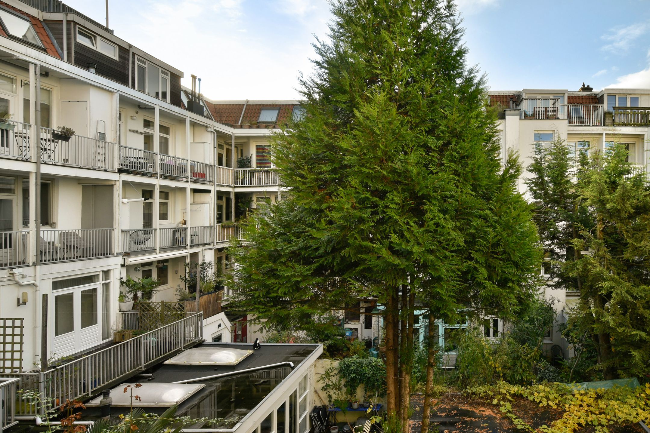 Foto 15 van Van Hogendorpstraat 181-2