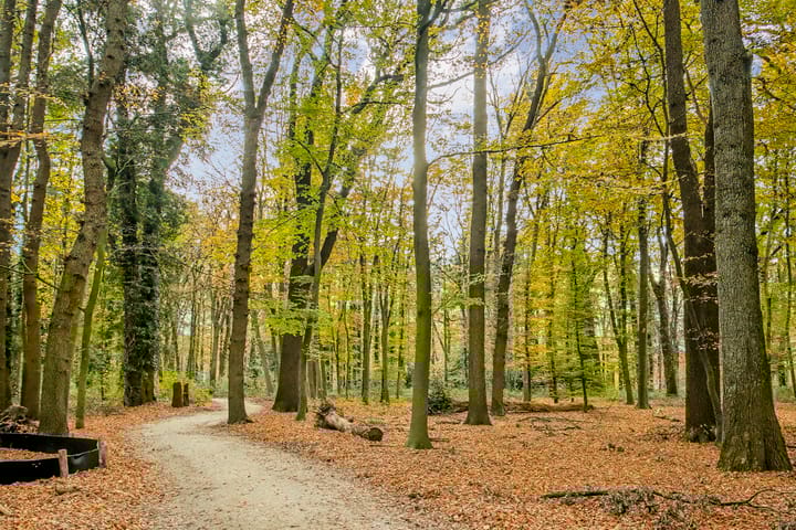 Foto 31 van Diedenweg 67