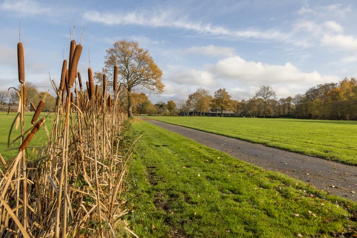 Foto 52 van Genoenhuis 12