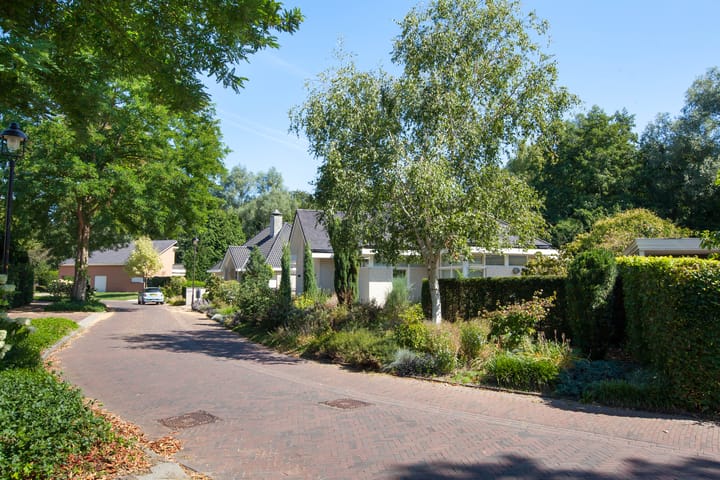 Photo 60 of De Eelinkes 37