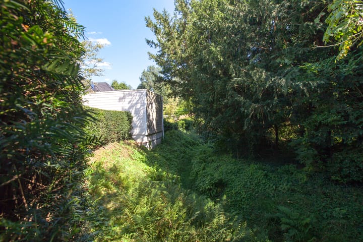 Photo 59 of De Eelinkes 37