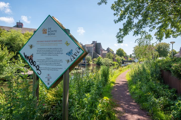 Foto 28 van Boeierstraat 31