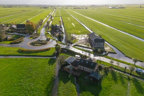 Graafland 31 tertiary image