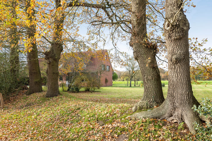 Foto 4 van Blickdiek 5