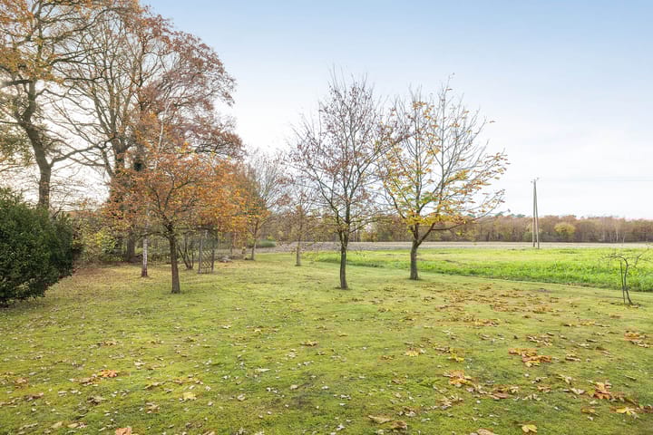 Foto 53 van Blickdiek 5