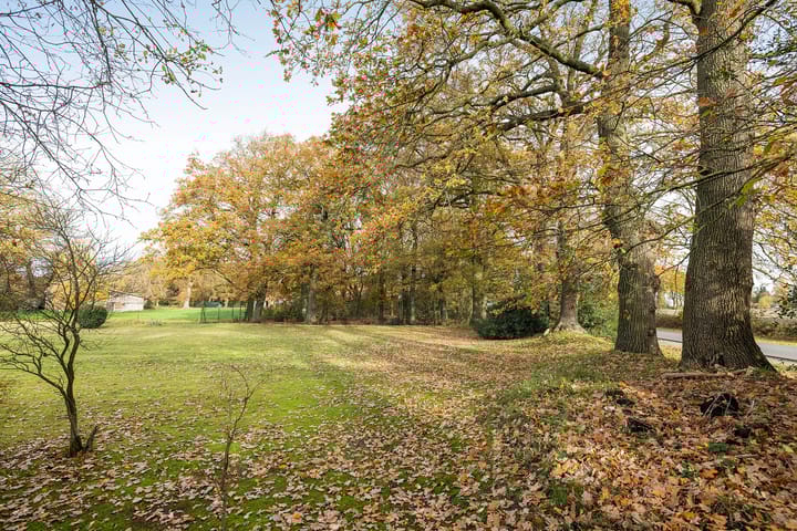 Foto 56 van Blickdiek 5