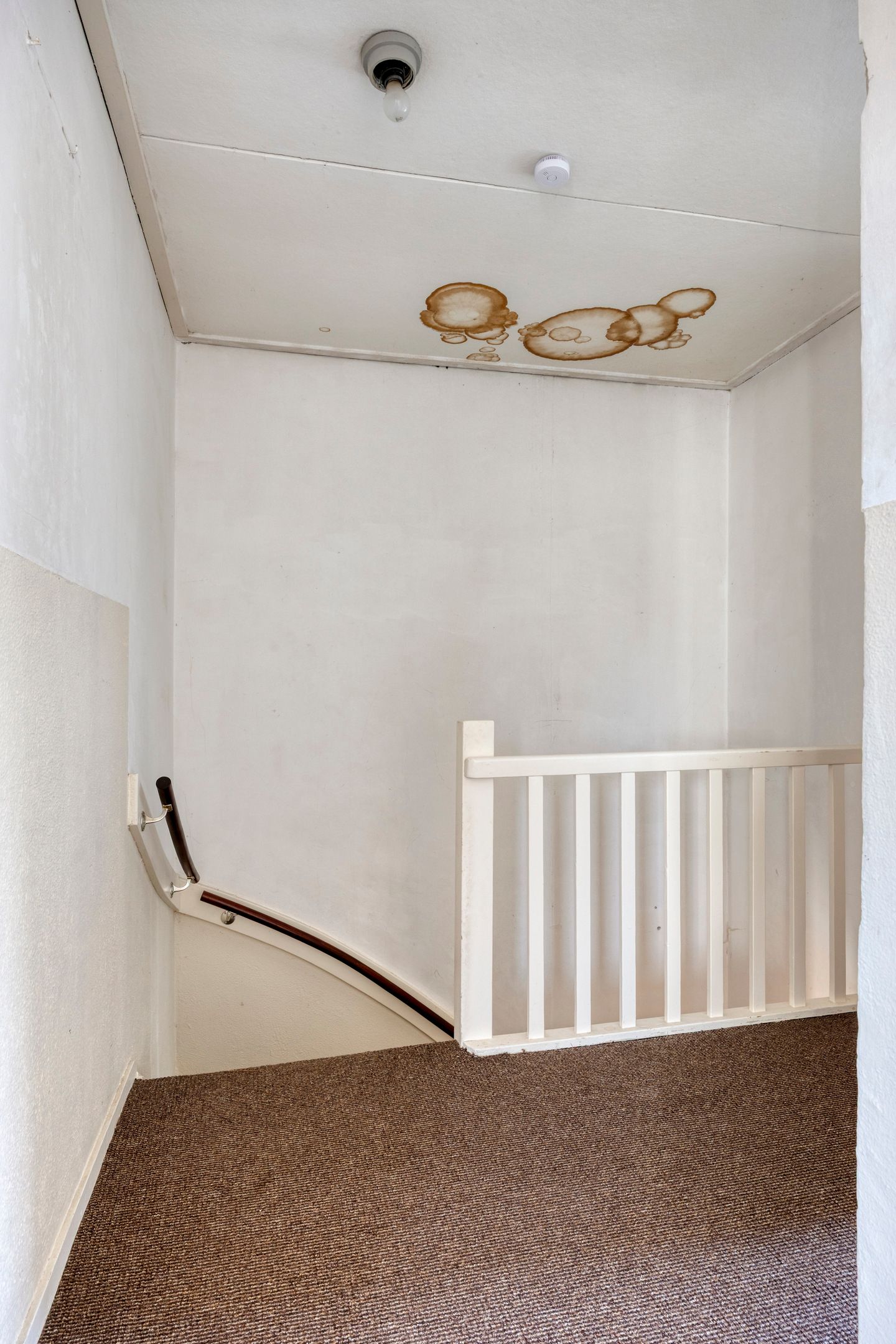 Foto 18 van Buizerdstraat 80