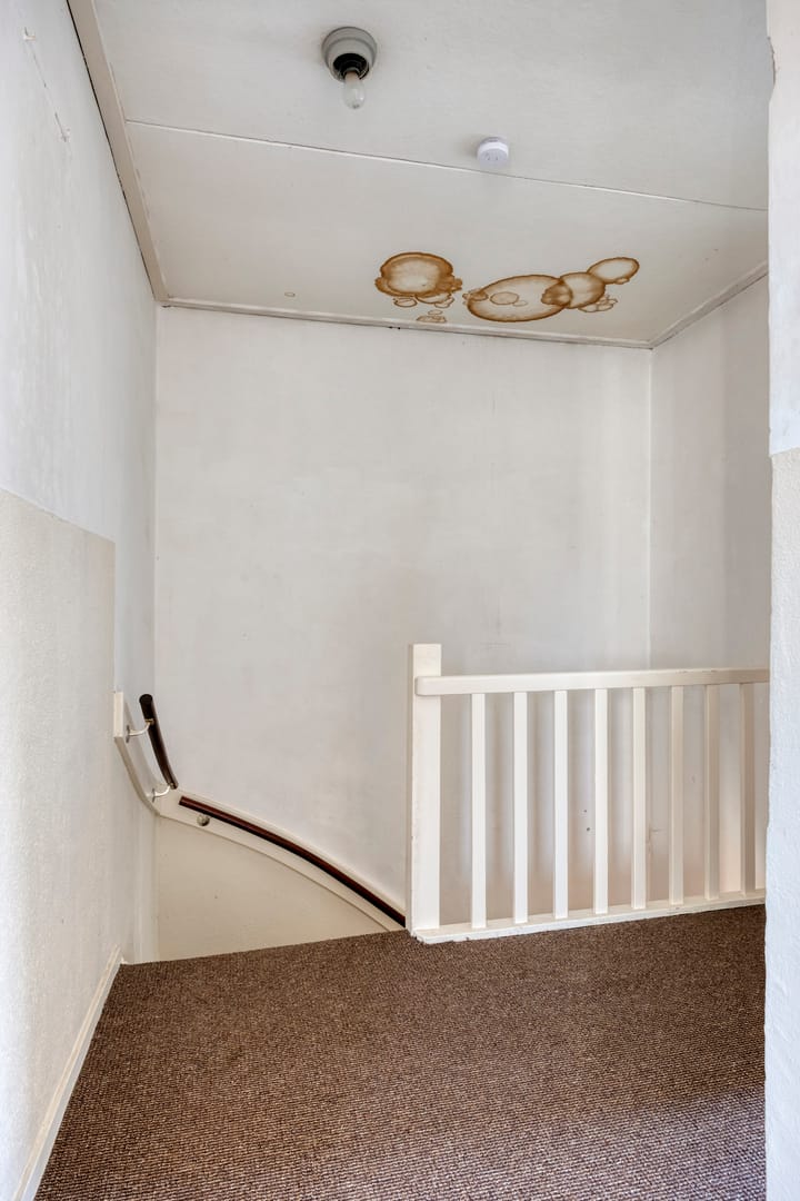 Photo 18 of Buizerdstraat 80