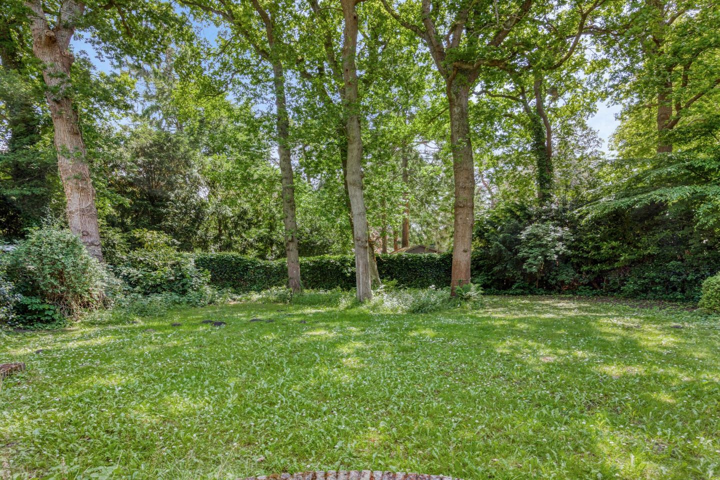 Foto 10 van Laan van Rhemen van Rhemenshuizen 3