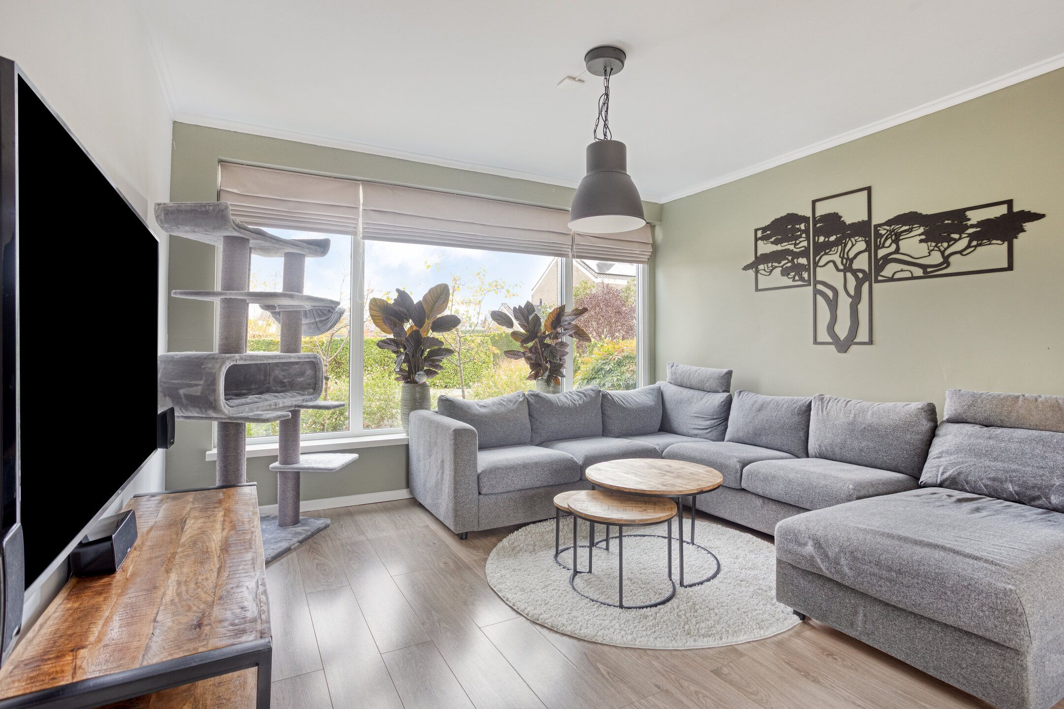 Foto 12 van Frans Halsstraat 11