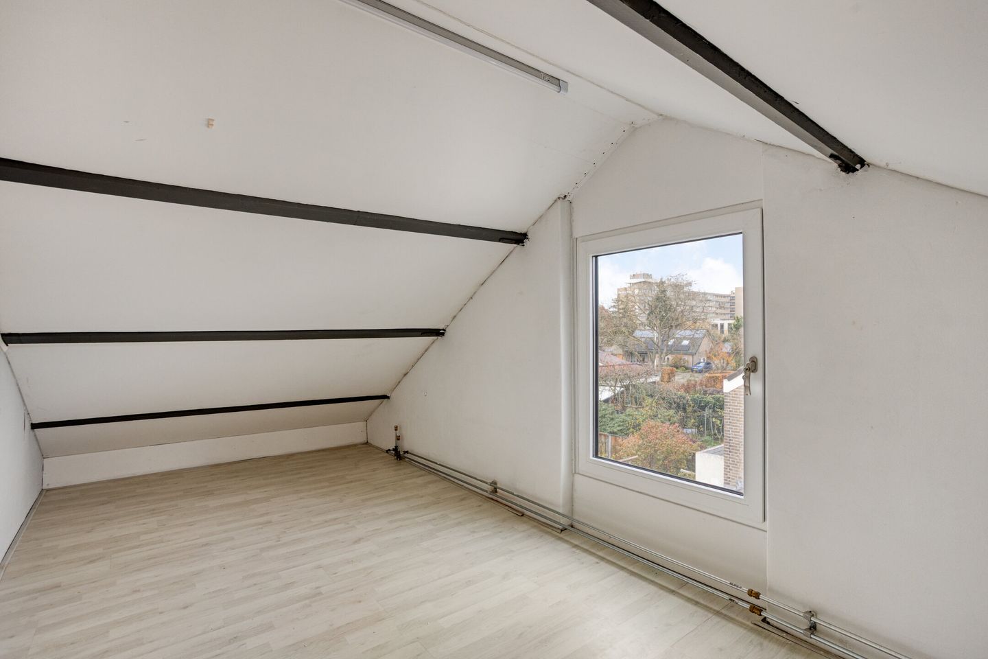 Foto 29 van Frans Halsstraat 11