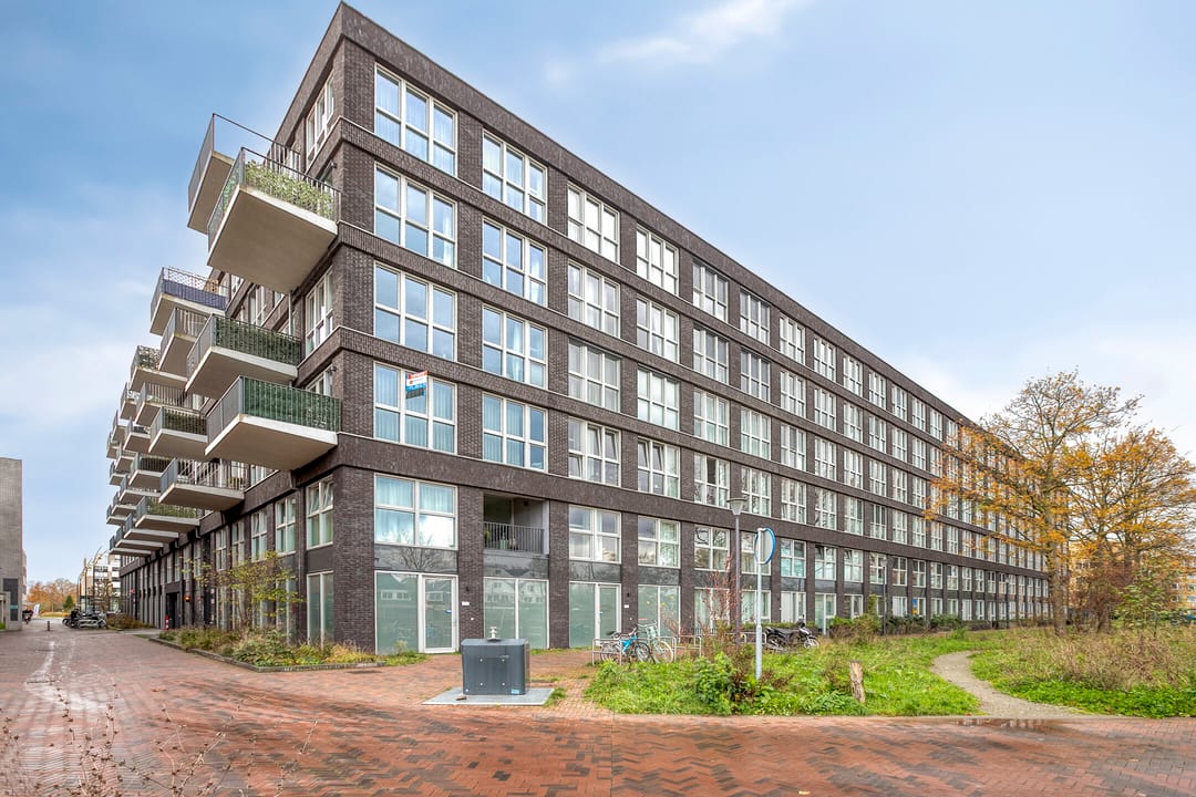 Photo 37 of Lapis Lazuli 137