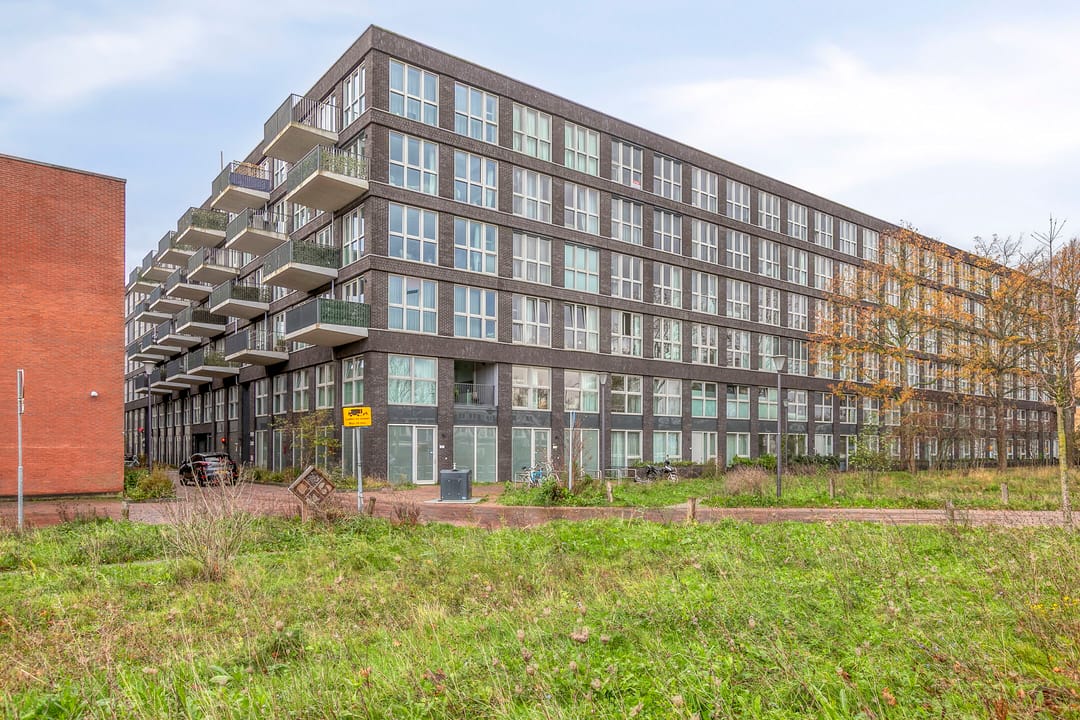 Photo 38 of Lapis Lazuli 137