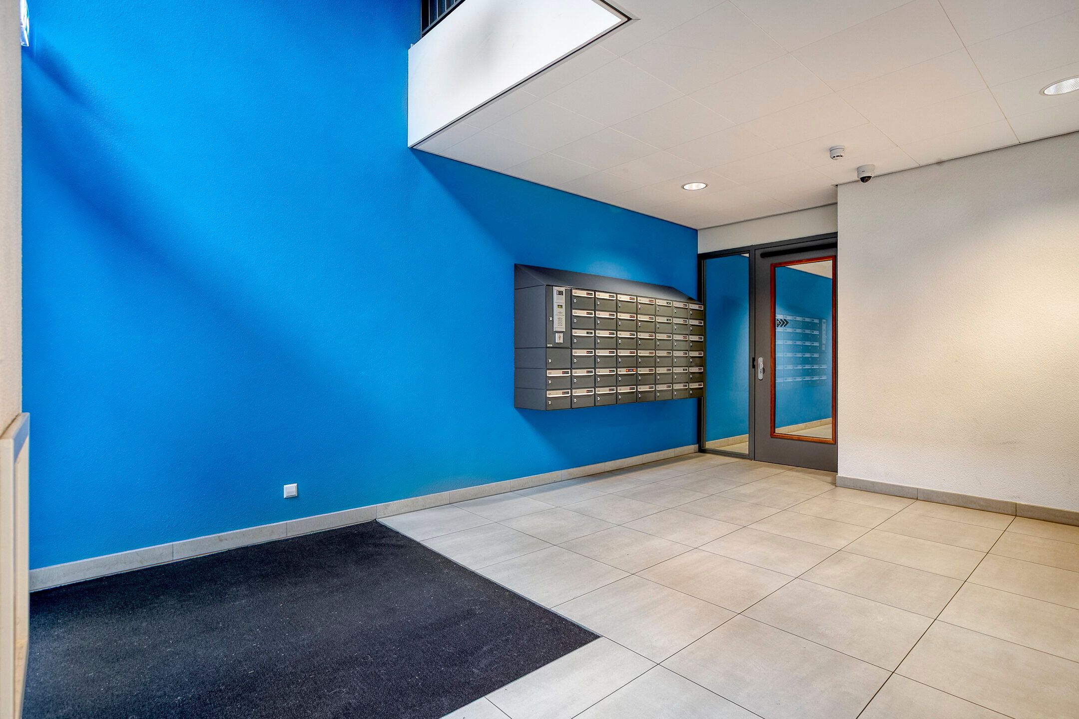 Photo 9 of Lapis Lazuli 137