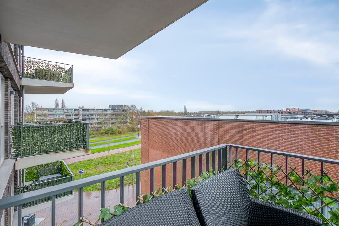 Photo 32 of Lapis Lazuli 137