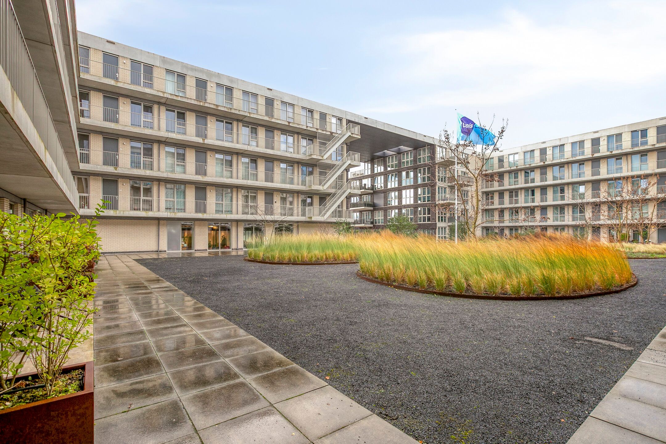 Photo 36 of Lapis Lazuli 137