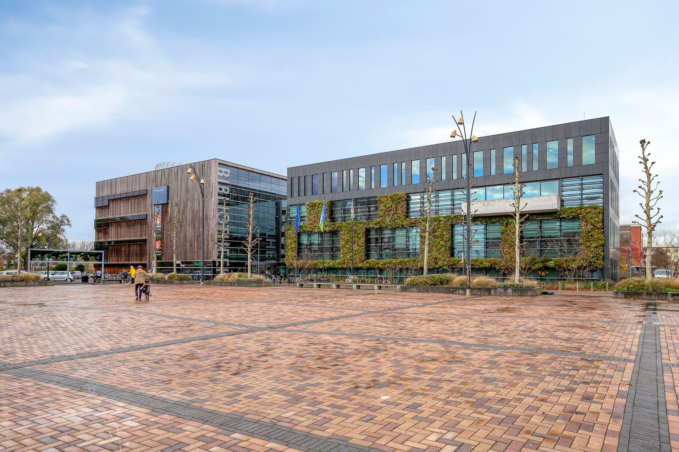 Photo 39 of Lapis Lazuli 137