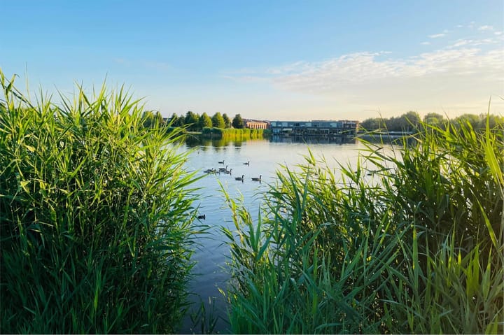 Foto 45 van Vadinushof 32