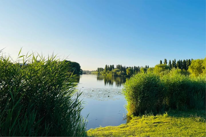 Foto 44 van Vadinushof 32