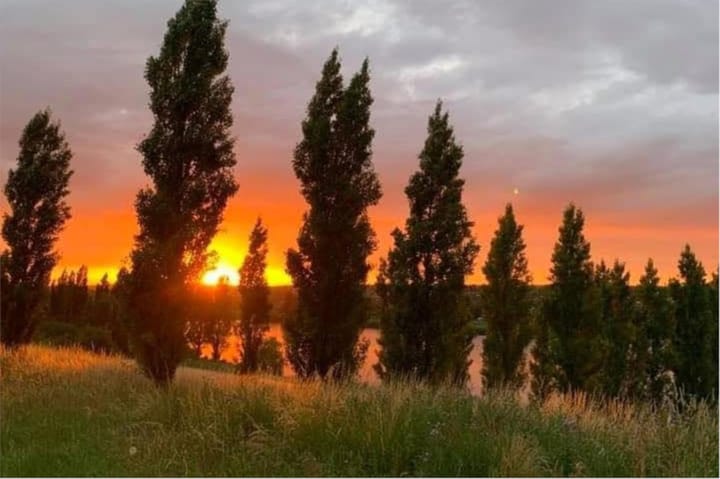 Foto 43 van Vadinushof 32