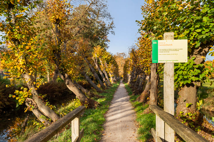 Foto 35 van Julianalaan 19