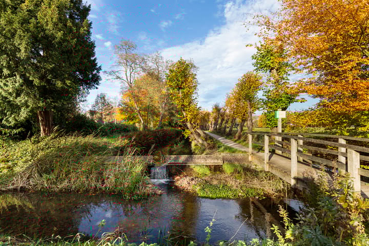 Foto 36 van Julianalaan 19