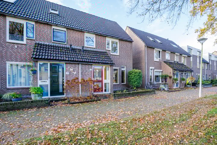 Photo 17 of Wolborgenmate 126