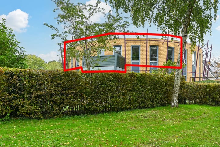 Cees Buddingh'hof 165